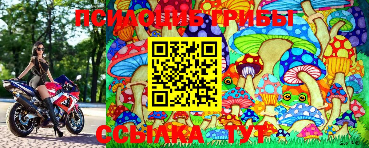 Валуйки  Псилоцибиновые грибы Cubensis  Вход с VPN  Галлюциногенные грибы Cubensis 